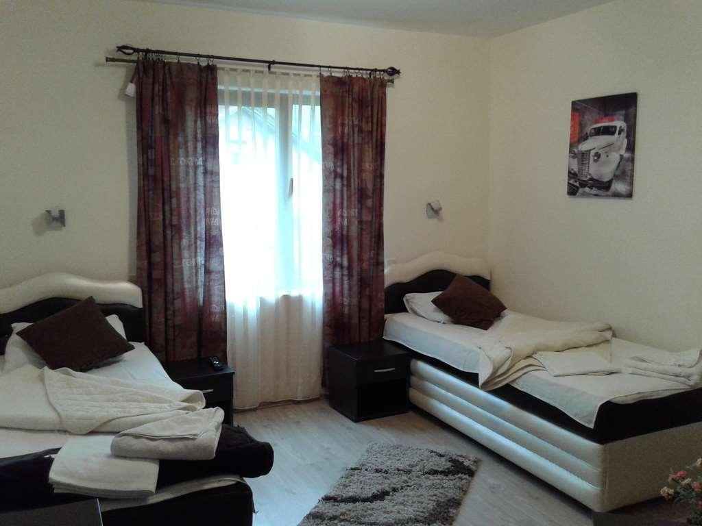 Guesthouse Vila Dnd Niska Banja Ruang foto